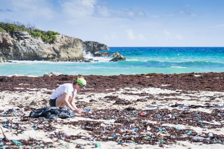 Prélèvement de macro- et microplastiques en Guadeloupe