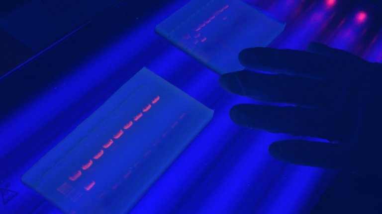 Nucleic acid analysis by electrophoresis and visualization in ultraviolet light. Here, all samples analyzed, except one, contain the same DNA fragment.
